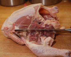 cutchicken1